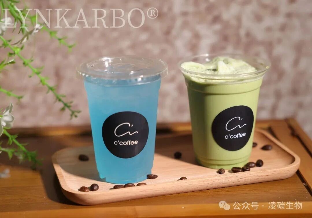 المواد الحيوية لجيش التحرير الشعبى الصينى ومكافحة التلوث البلاستيكي